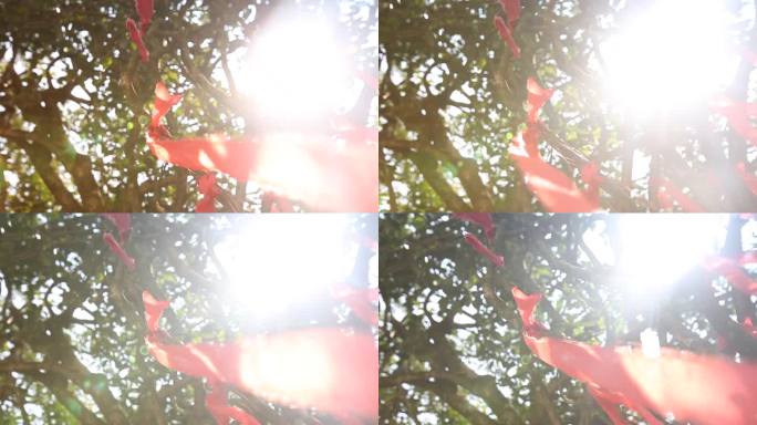 千年古树许愿树上的红布条 许愿绳许愿丝带