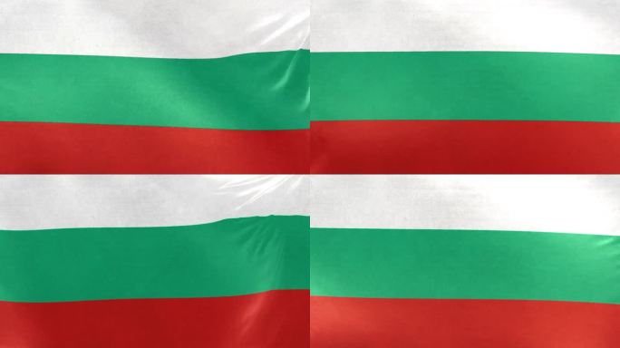 保加利亚国旗。保加利亚国旗在风中飘扬。全屏，平整，布料质感好。国旗。Loopable。循环。高清CG