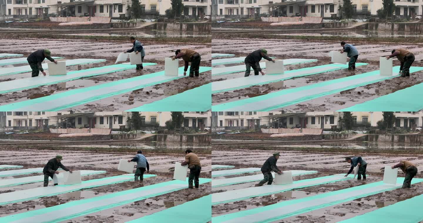 重庆南川：春分时节劳作忙