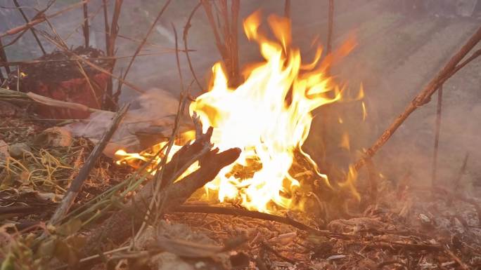 火灾燃烧过后森林火灾事故和灾难灰烬烟雾
