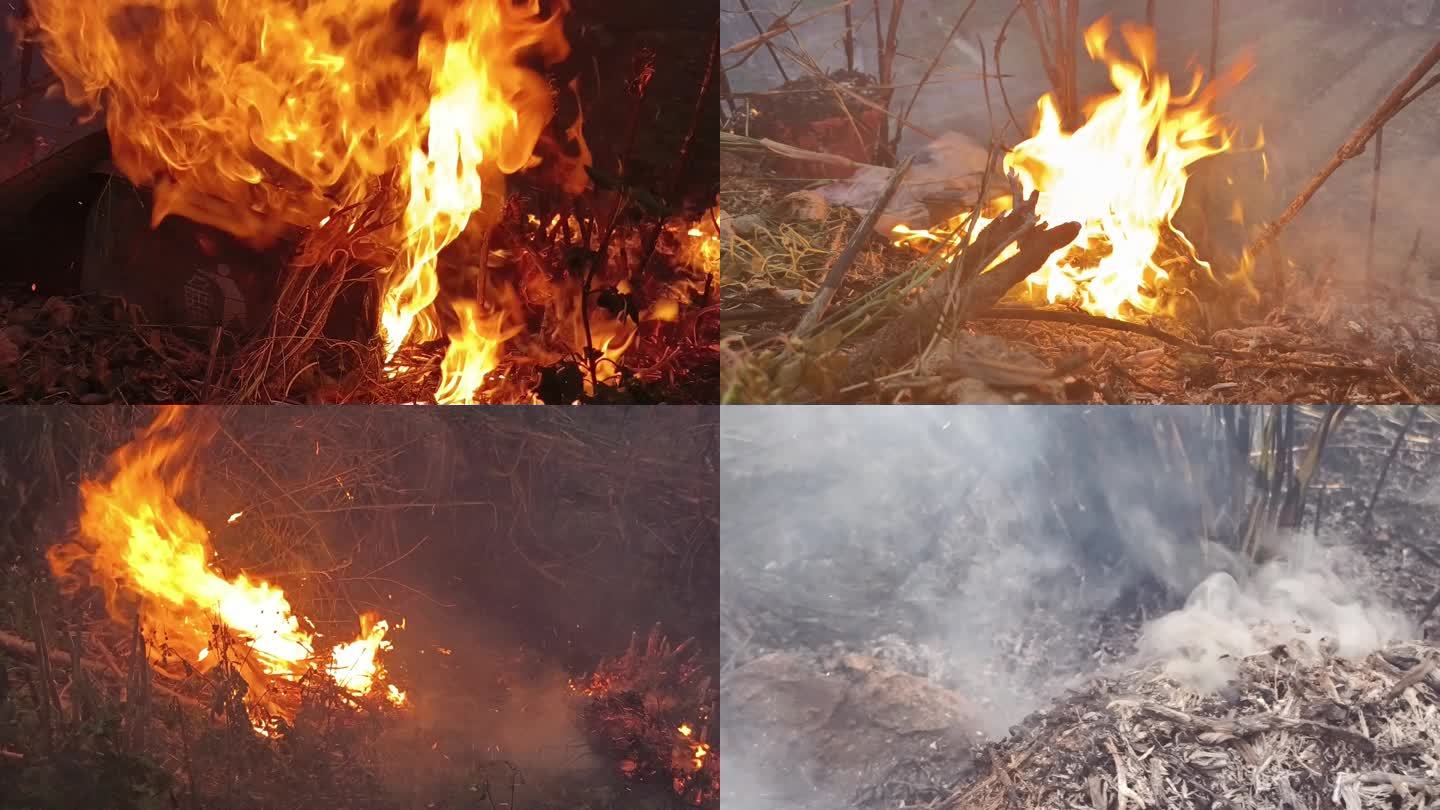 火灾燃烧过后森林火灾事故和灾难灰烬烟雾