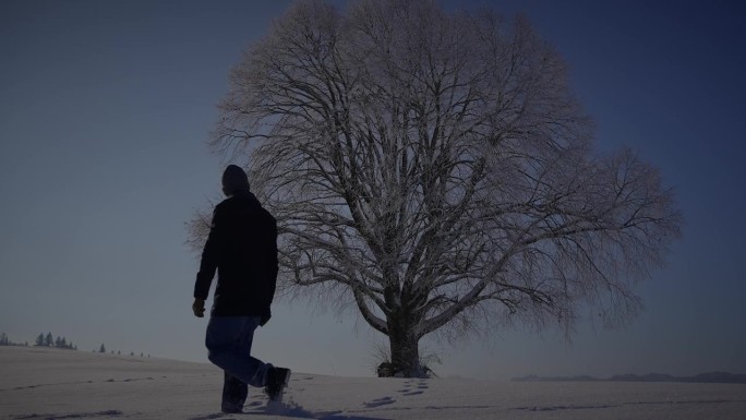 男人走在深雪中看着一棵树