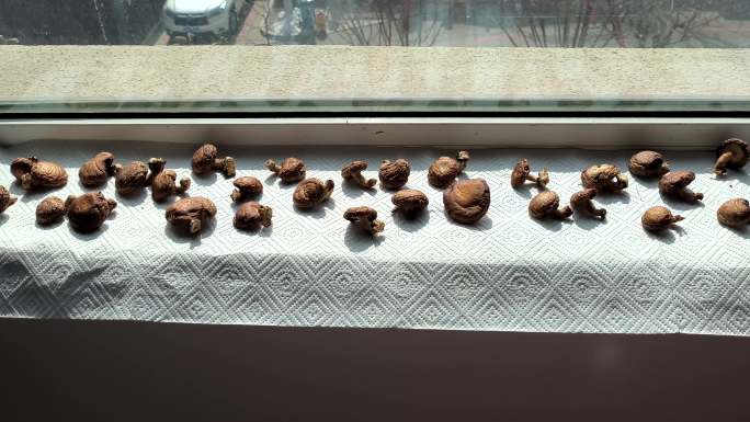 窗台晾晒香菇