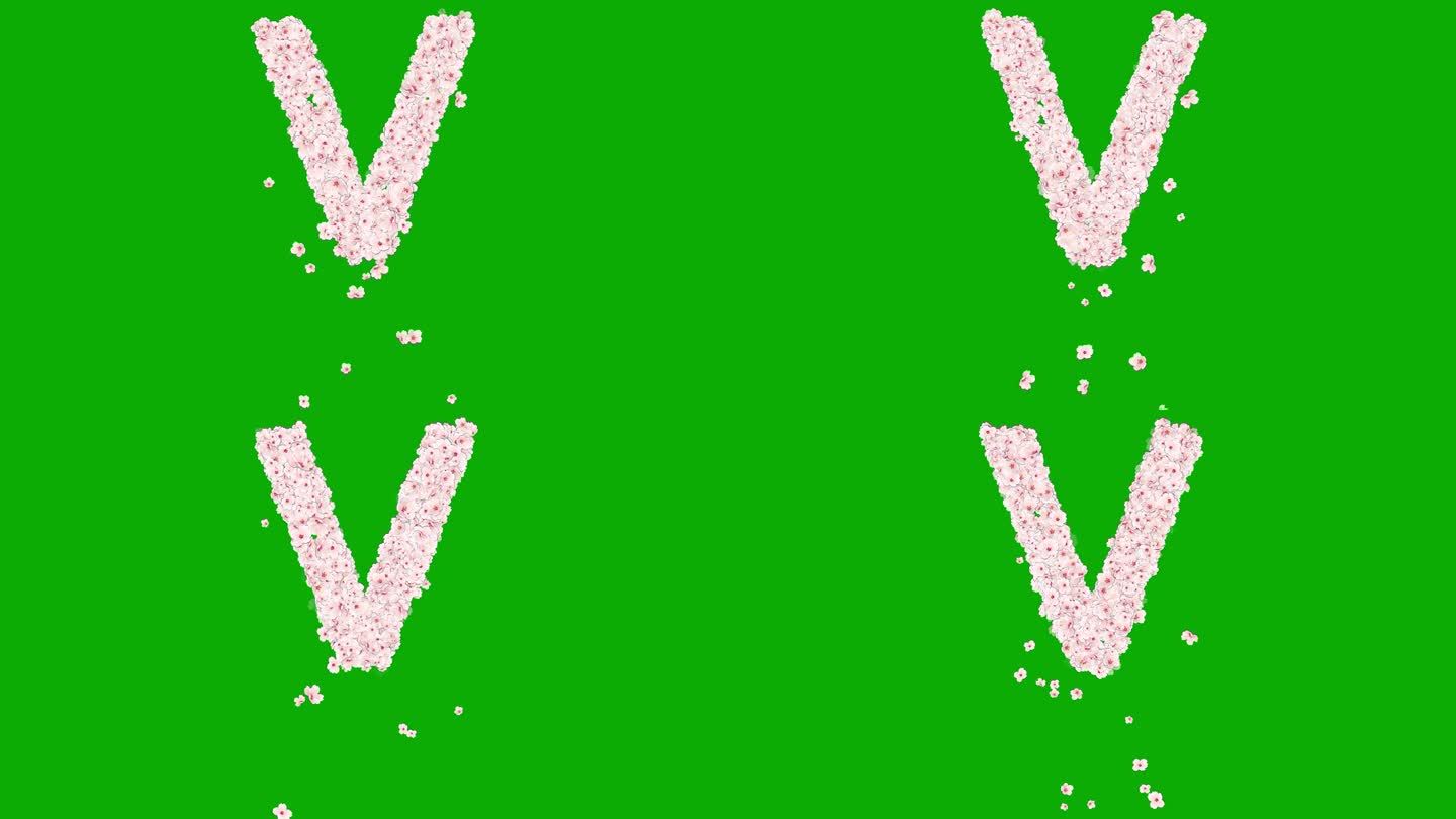 英文字母V与樱花绿色屏幕背景