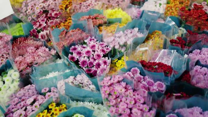 蝴蝶兰 花卉市场