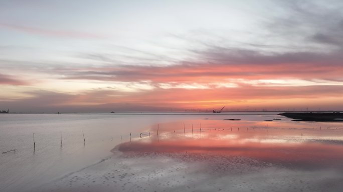 海边晚霞 海鸟DJI_0523