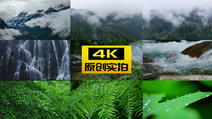 4K森林大自然下雨树林瀑布山水