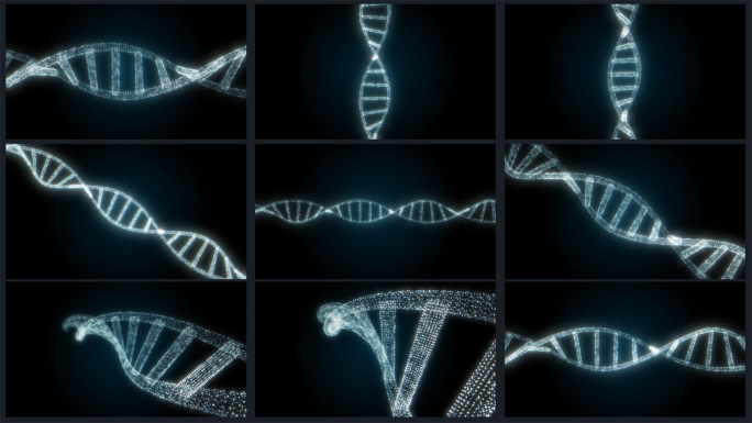 9组DNA链条螺旋4K动画素材