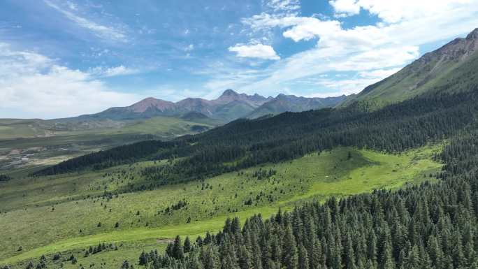 西北山丹军马场航拍