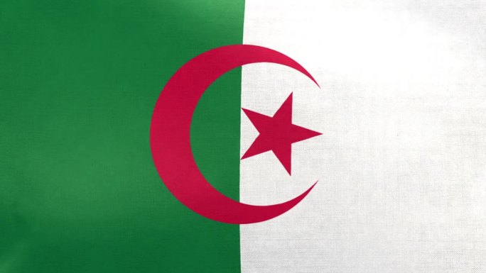 阿尔及利亚国旗。阿尔及利亚国旗在风中飘扬。全屏，平整，布料质感好。国旗。Loopable。循环。高清