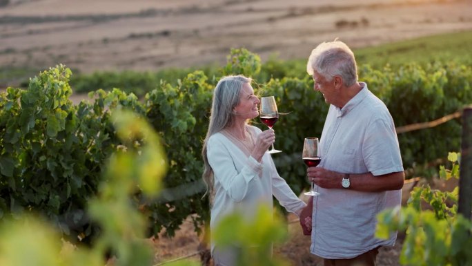 一对老夫妇，手牵着手或举杯庆祝葡萄园的周年庆。喝酒，务农或恋爱，在一起，自然度假胜地或乡村