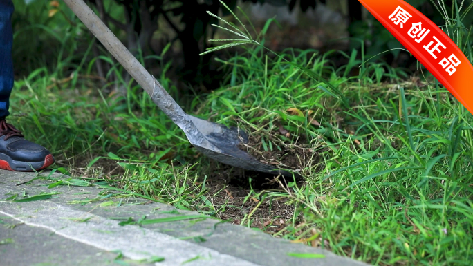 道路养护绿化除草工人除草除草机除草