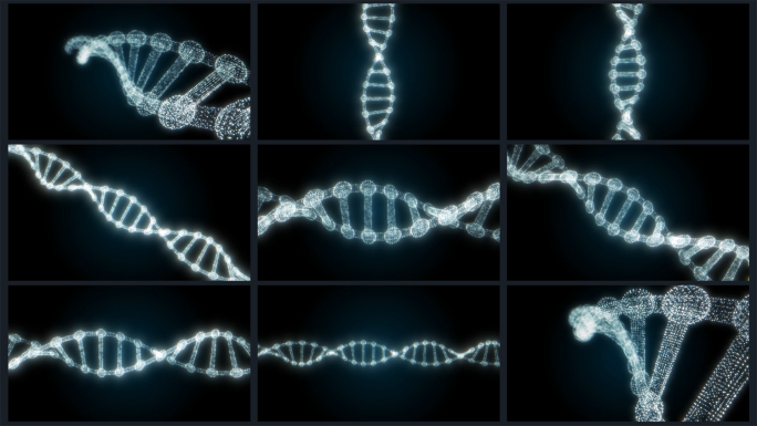 9组DNA链条螺旋4K动画素材