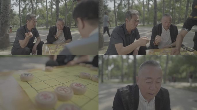 老人公园下棋老大爷下象棋log