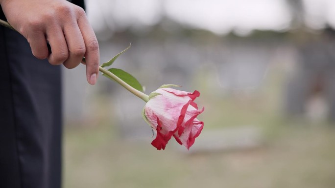死亡，墓地和手持鲜花的人纪念，仪式和追悼会。忧郁，葬礼和玫瑰的特写，哀悼，悲伤和失去亲人的墓地