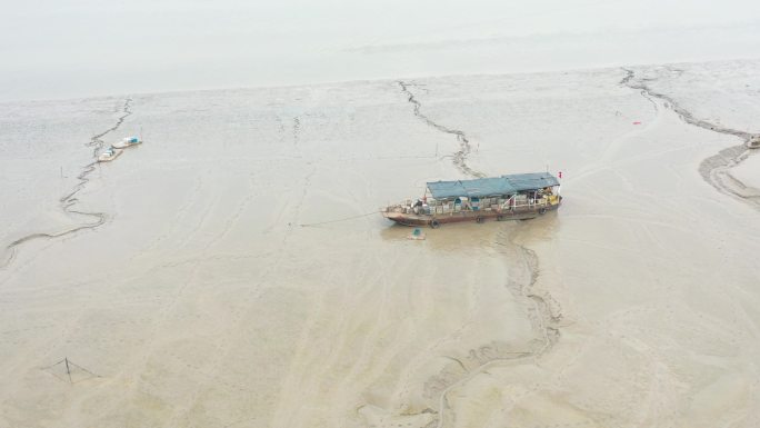 赶海人下海捕鱼