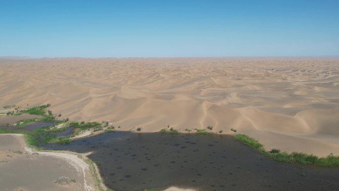 库木塔格沙漠绿洲