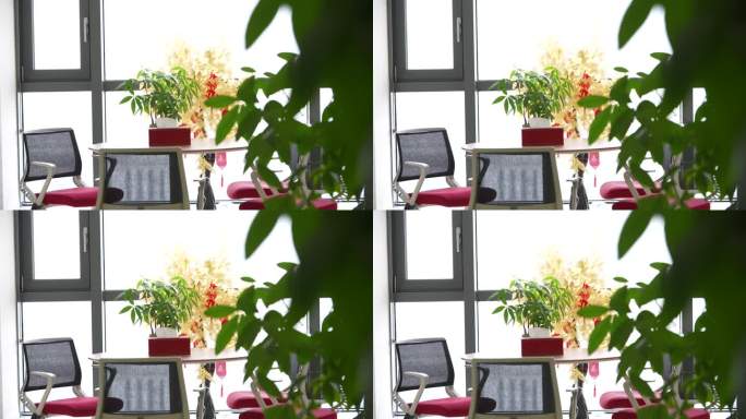 公司办公楼会客室洽谈室桌椅绿植实拍