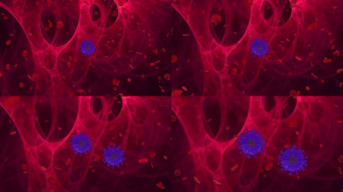 计算机生成的水痘病毒在人体内复制的可视化。红细胞中的紫色球形病毒。是了解水痘病毒复制的理想工具。
