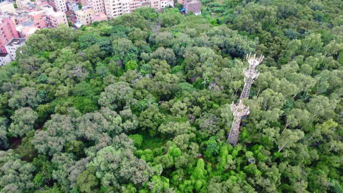 航拍 里水 森林 植被 山 信号塔 河道