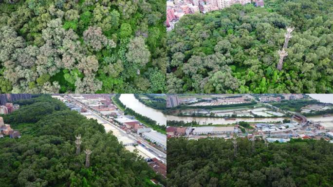 航拍 里水 森林 植被 山 信号塔 河道