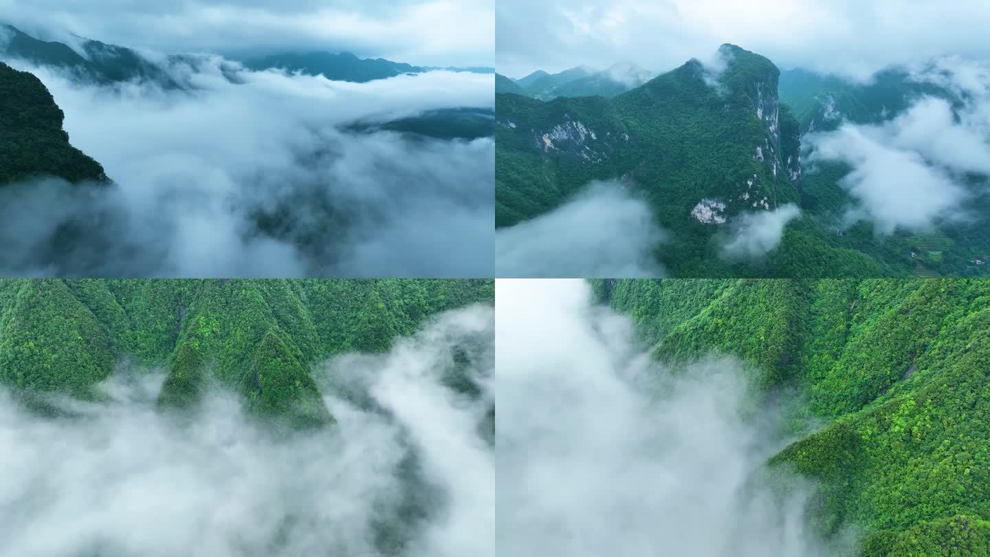 航拍山中的云雾
