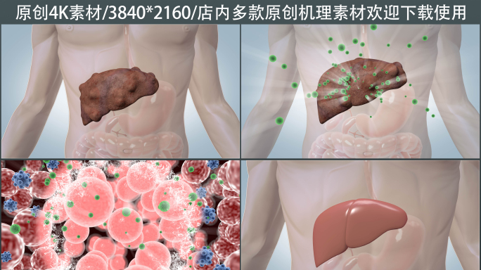 【4K】清除肝脏病毒恢复肝脏健康