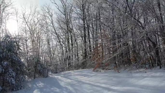 冬天 雪 雾凇 暖阳