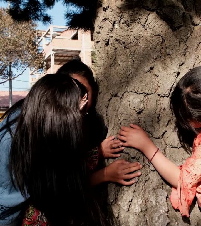 三个拉丁女孩在公园里抱着一棵树玩耍