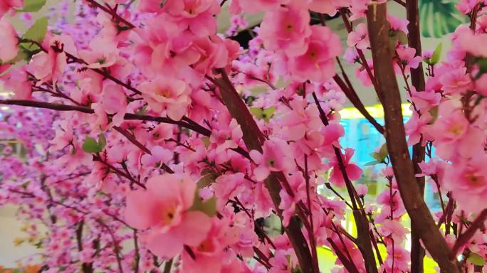 商场里的美丽樱花树