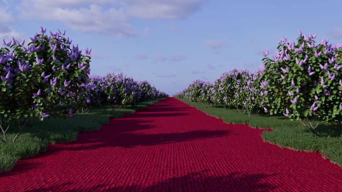 花海红毯穿梭婚礼背景素材