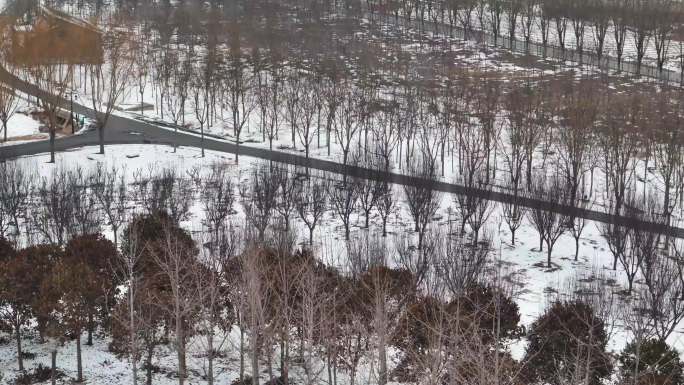 航拍孝道园 张清丰 雪景 古建筑