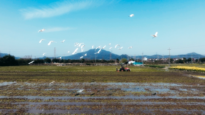 春耕播种粮食生产稻谷农村春天水稻农业耕作