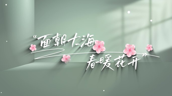 唯美文艺电影综艺感文字标题字幕