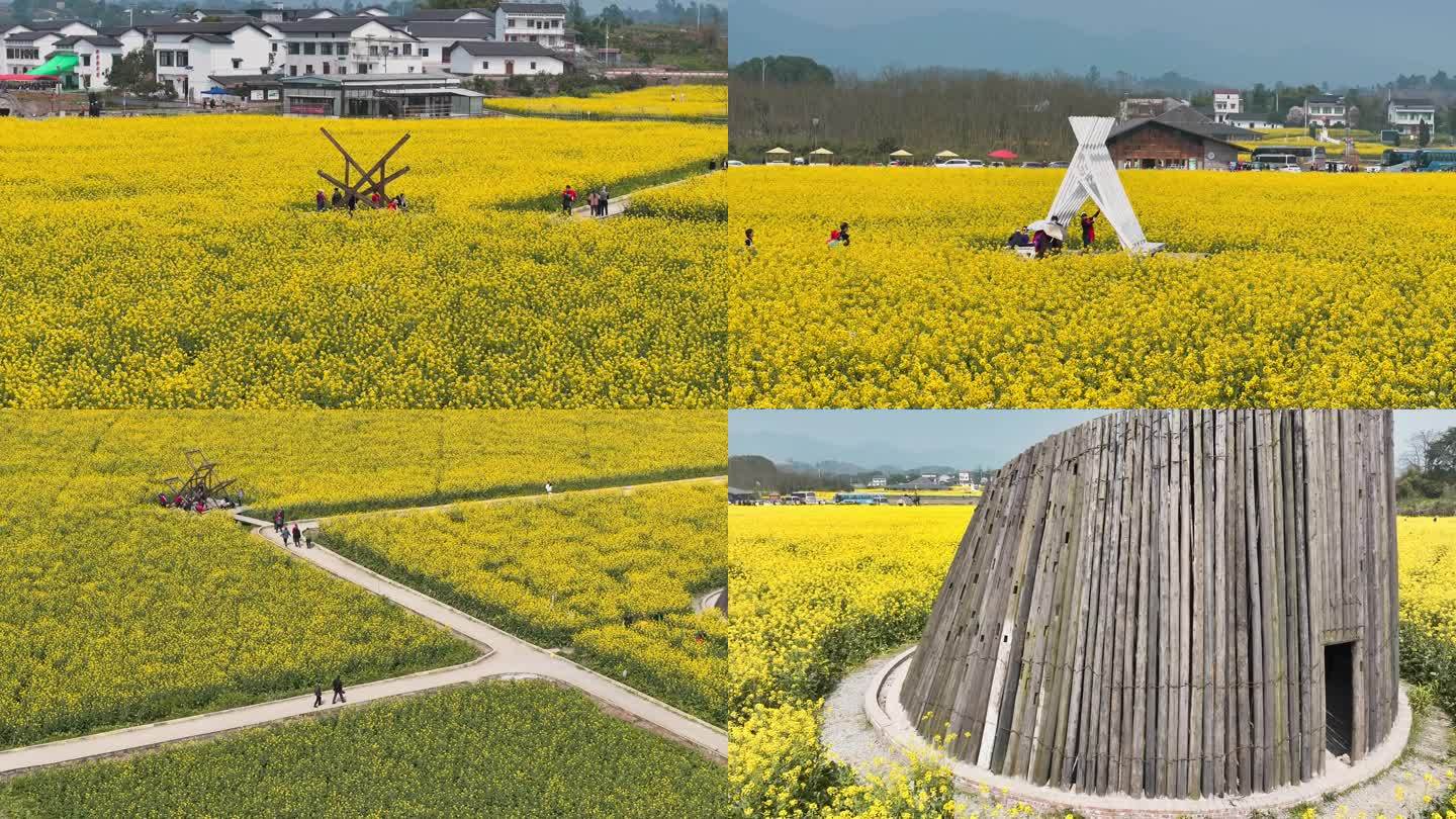 璧山七塘莲花穴院落油菜花海航拍