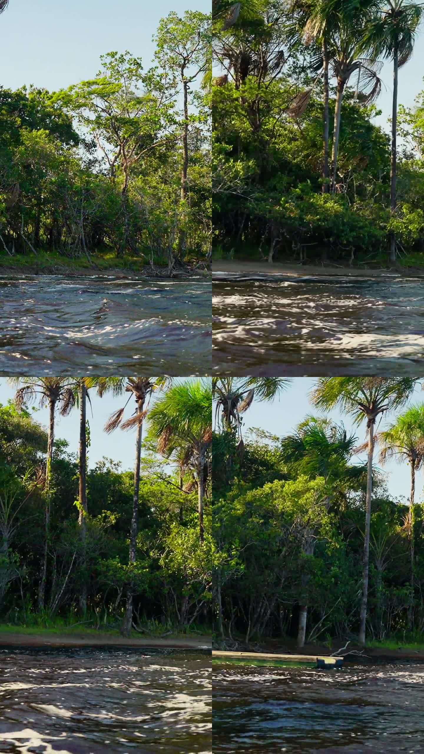 沿着委内瑞拉卡纳伊马国家公园的卡拉奥河航行