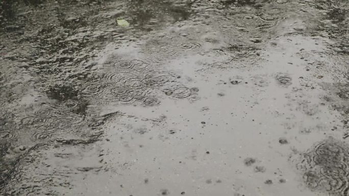 外面下着雨，相机捕捉到了雨滴落在地上的画面