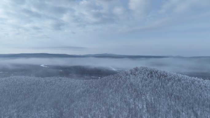 银色山林雾凇冻雾