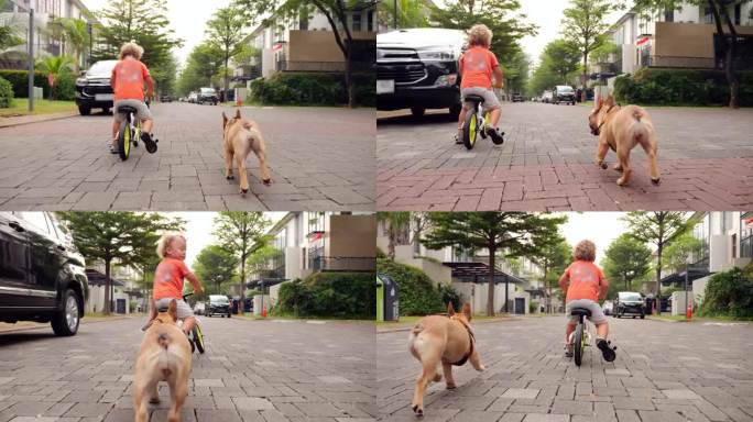 顽皮的二人组，骑着平衡自行车的小孩和小狗，在安静的郊区街道上奔跑
