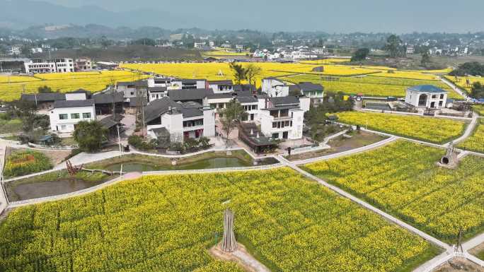 璧山七塘莲花穴院落油菜花海航拍