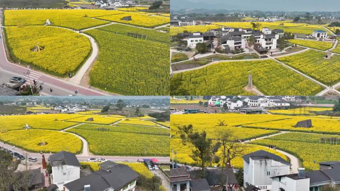 璧山七塘莲花穴院落油菜花海航拍