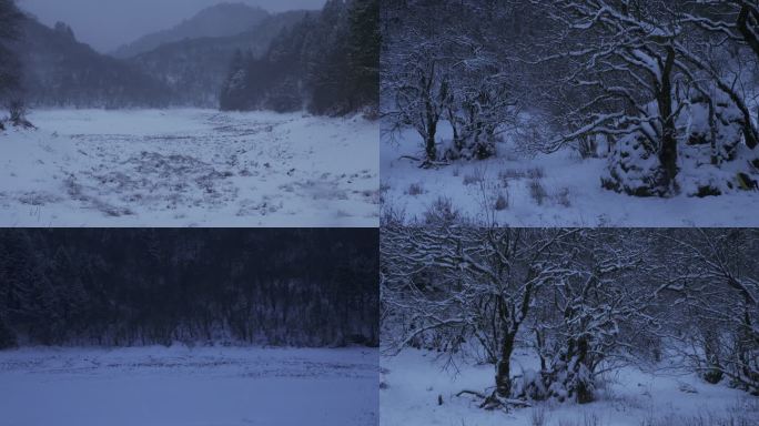 雪中的秦岭深处，大雪，雪，原始森林，高山