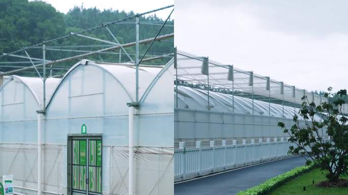 蔬果大棚产业园农业温室