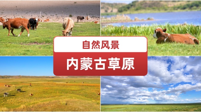 内蒙古草原自然风景 草原风光 牛 马 羊