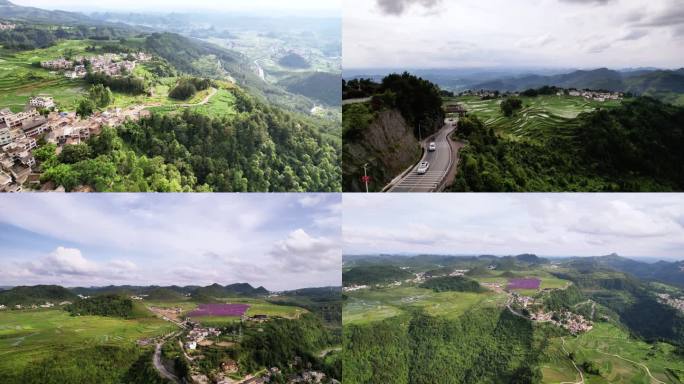 山景 梯田