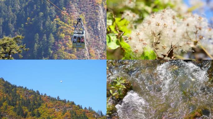 森林 秋色  风光  兴隆山 缆车