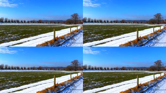风景如画的荷兰风景果园和圩田草地在冬天下雪