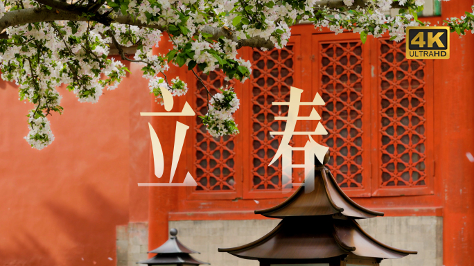 北京春天立春春分清明花卉开花延时合集