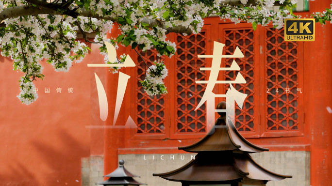 北京春天立春春分清明花卉开花延时合集