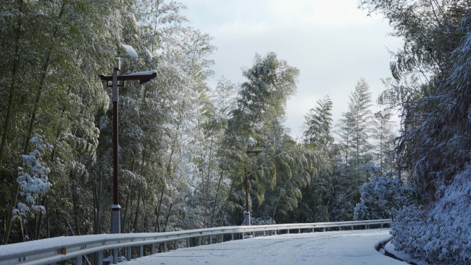 农村公路下雪